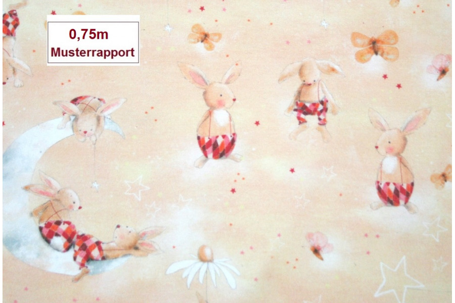 1 Musterrapport (0,75m) Bio-Stretch-Jersey-Musterrapport "Hasenjux" Lillestoff    (Grundpreis € 22,67/m)